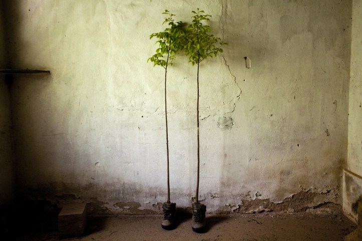 Crédito: João Castilho